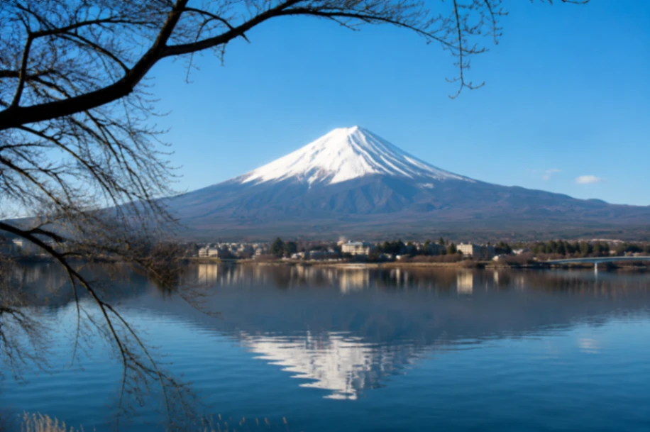Mount Fuji and Lake Kawaguchi View