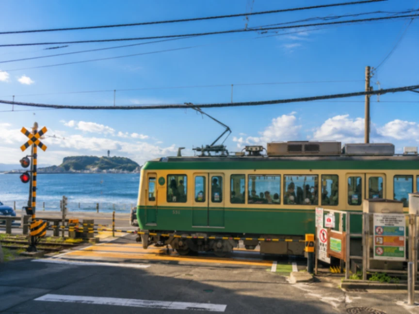 Private Charter Day Trip from Tokyo to Kamakura and Enoshima | Great Buddha of Kamakura, Tsurugaoka Hachimangu Shrine, Enoshima