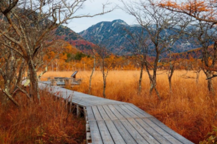 Senjogahara Marshland