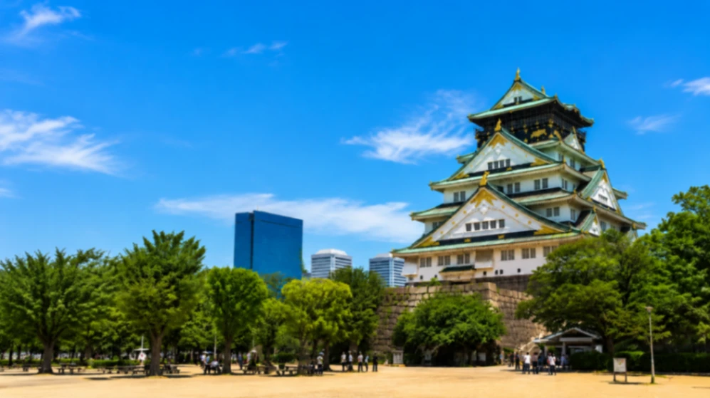 Osaka Private Charter One Day Tour | Osaka Castle, Dotonbori, Kuromon Market, Umeda