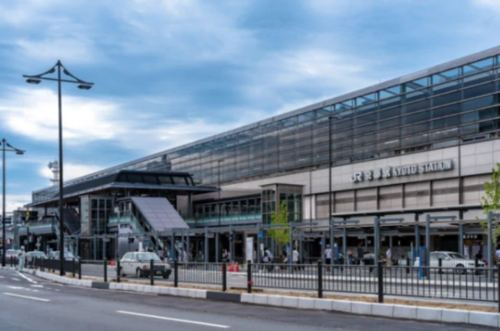 Hotel Area around Kyoto Station